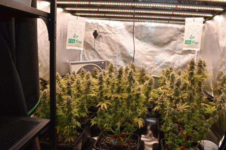 Jealousy  // FC EVO 6500. Week 17