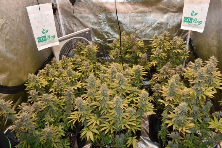 Jealousy  // FC EVO 6500. Week 17