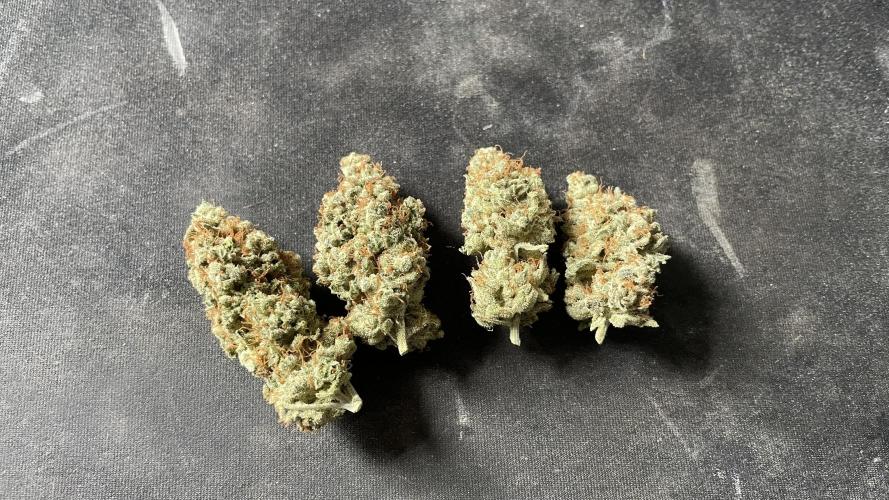 Sundae Driver. Week 16