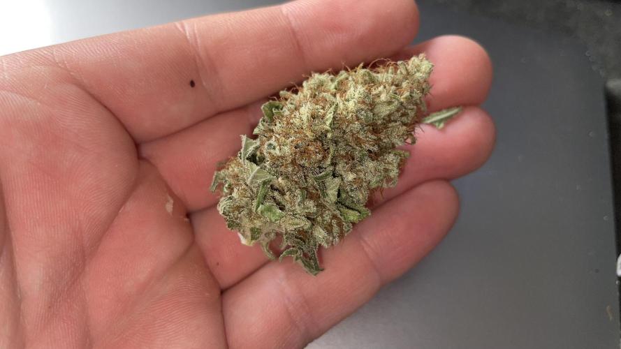 Sundae Driver. Week 16