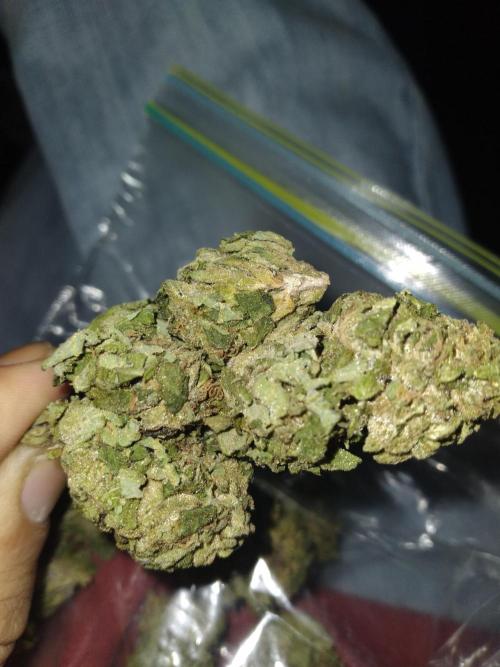 my 1st indoor tent grow. Week 5