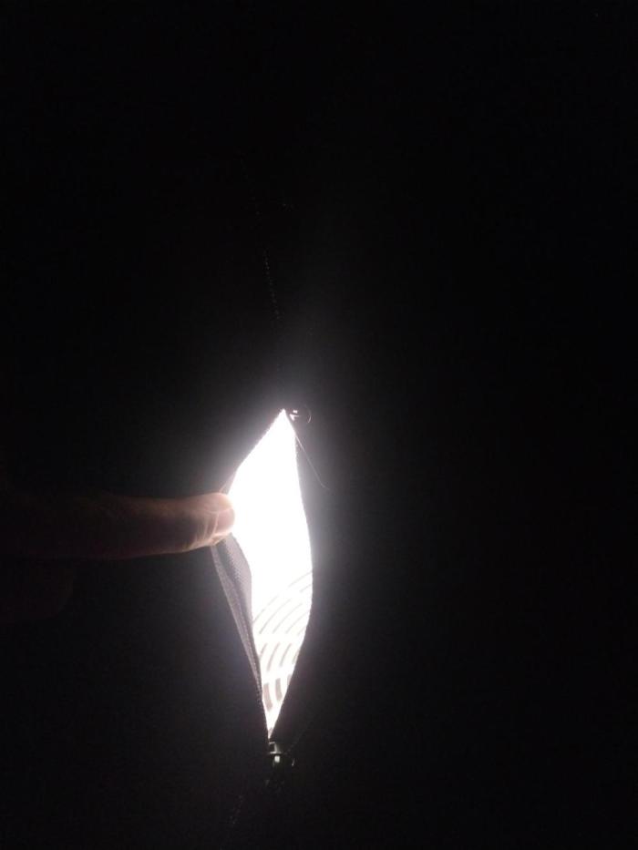 Green crack auto grow. Week 10