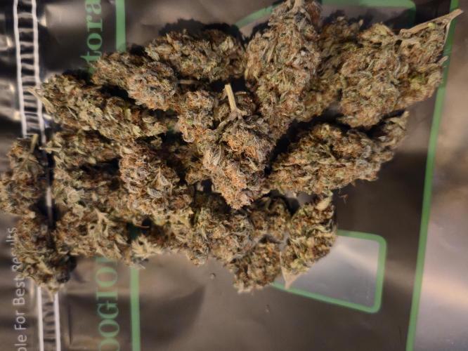 Jolly Jay/ Blackberry Cookies. Week 9