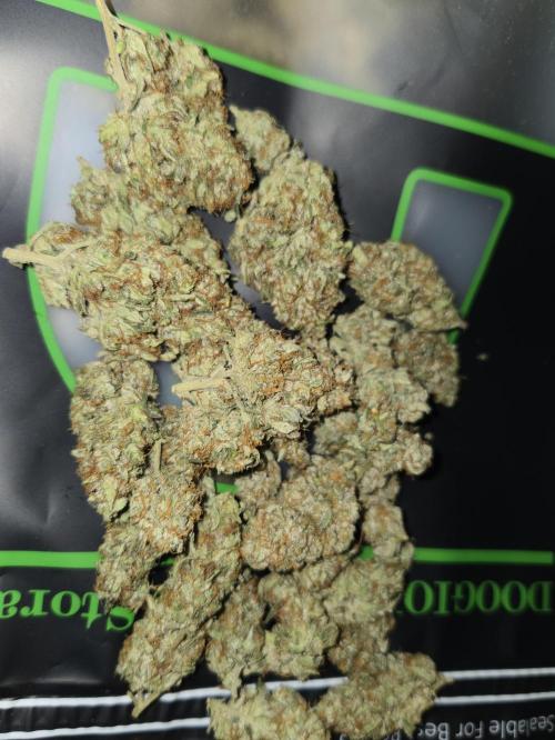 Jolly Jay/ Blackberry Cookies. Week 9