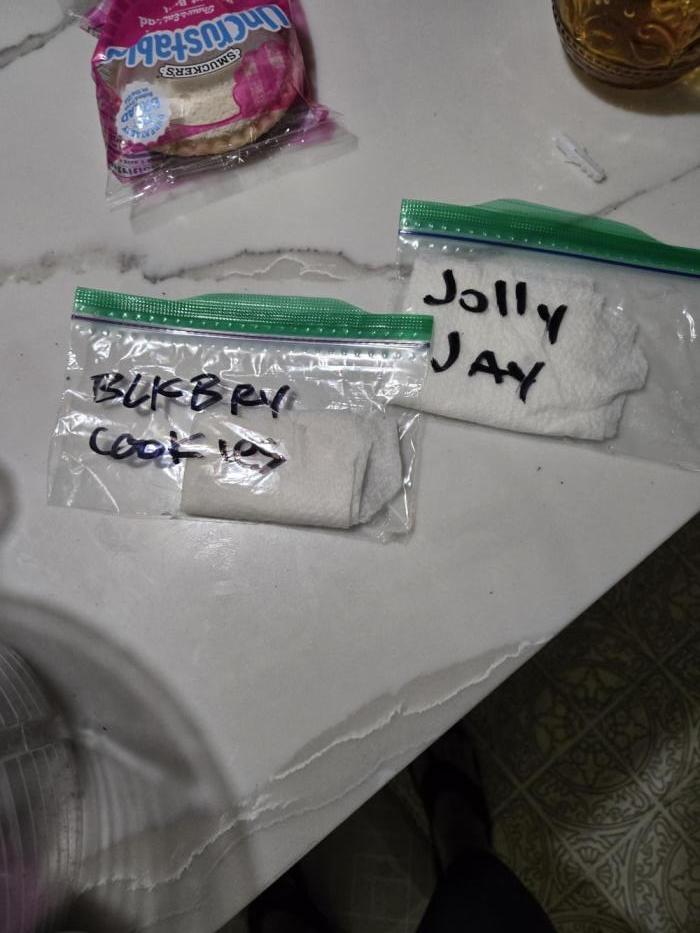 Jolly Jay/ Blackberry Cookies. Week 0