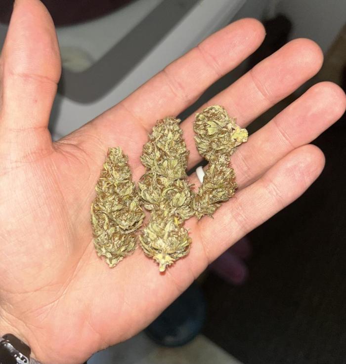 Blackberry Kush. Week 10