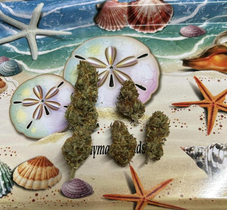 Gorilla Cookies. Week 10