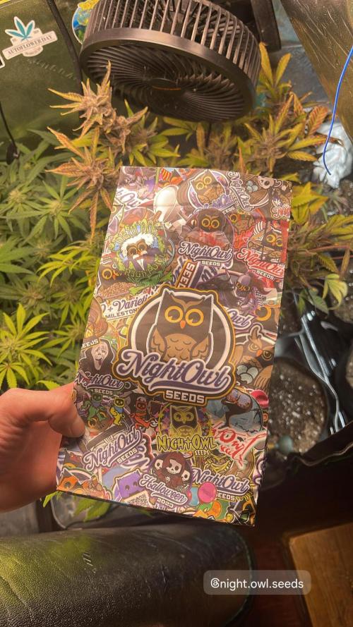 Growing update 2026 (Home Tent). Week 0 - Night owlll 🤯🤯