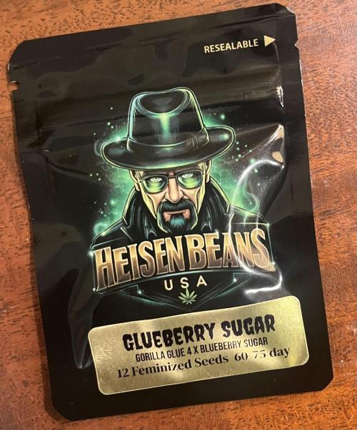 Glueberry & Oreoz. Week 0