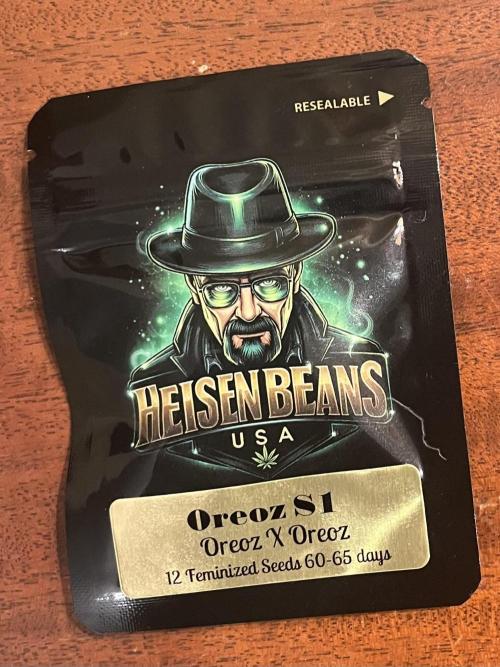 Glueberry & Oreoz. Week 0