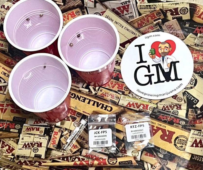 Chica rebelde #1. Week 0 - Two beans in each cup