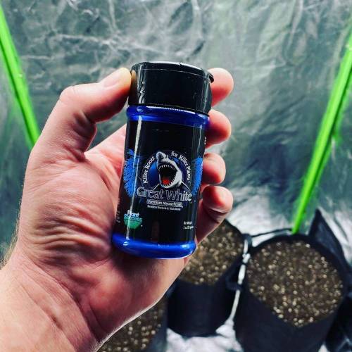 Stress Killer. Week 0