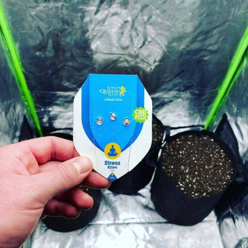 Stress Killer. Week 0