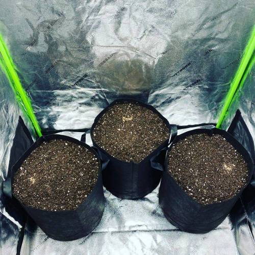 Stress Killer. Week 0