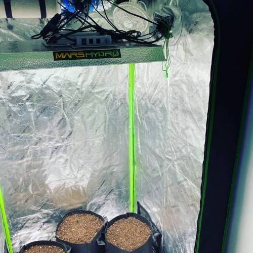 Stress Killer. Week 0