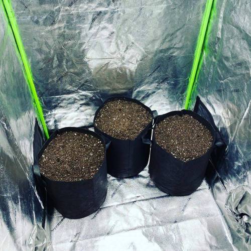 Stress Killer. Week 0