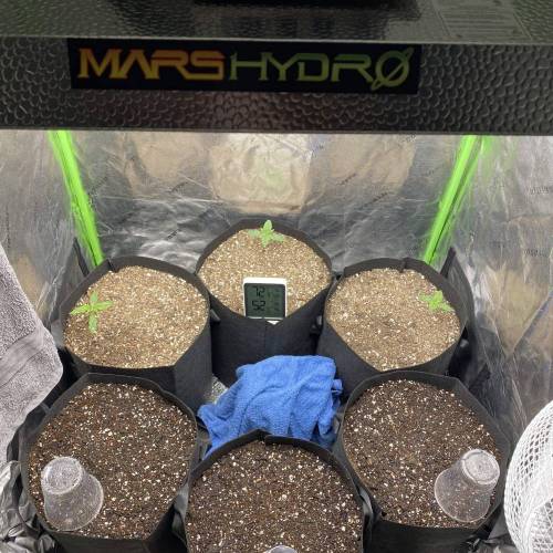 Stress Killer. Week 2