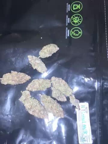 Blimburn and Premium Cultivars