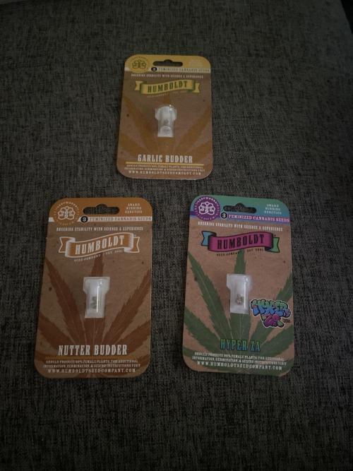 Humboldt seed run. Week 0 - These are gonna be my next run 