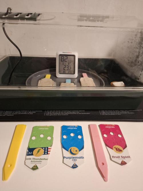 Winter Grow 2025. Week 0