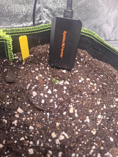 Winter Grow 2025. Week 1