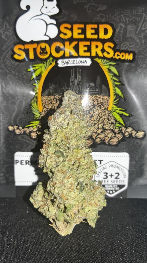 Permanent Marker Mainlining. Week 30