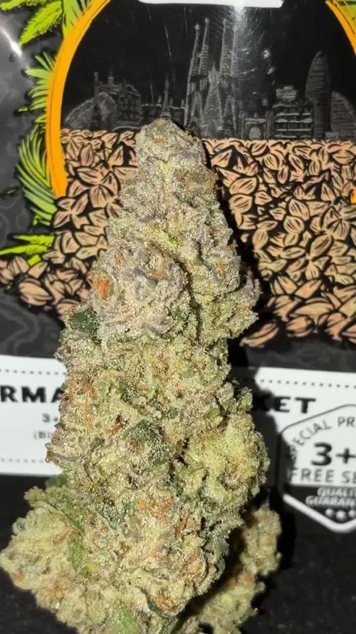 Permanent Marker Mainlining