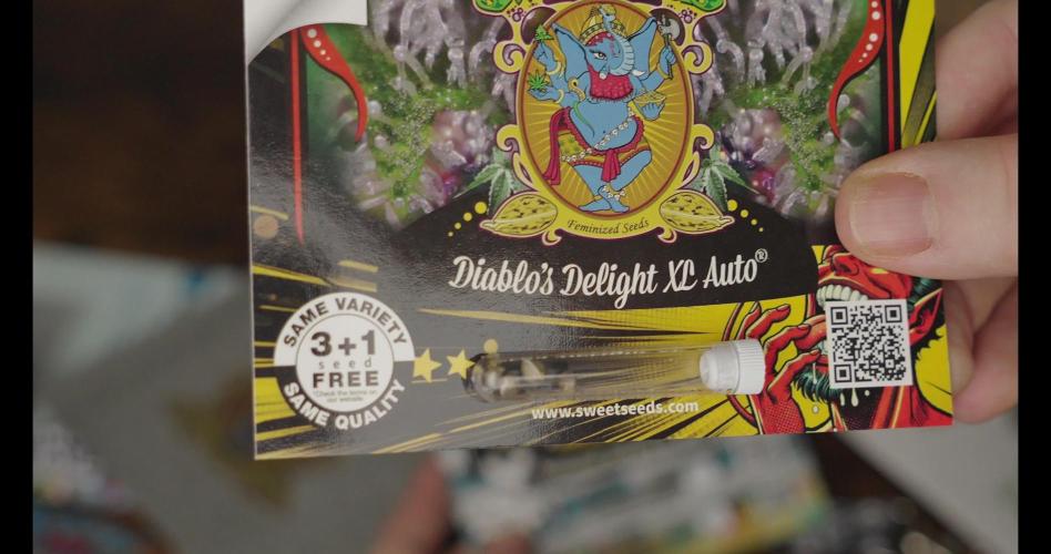 Diablo’s Delight XL Auto