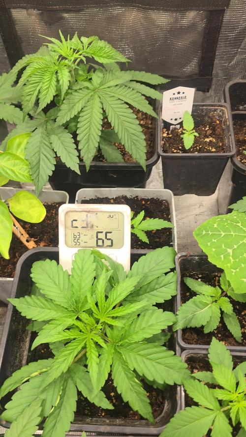 Volvimos😁🌱🌱