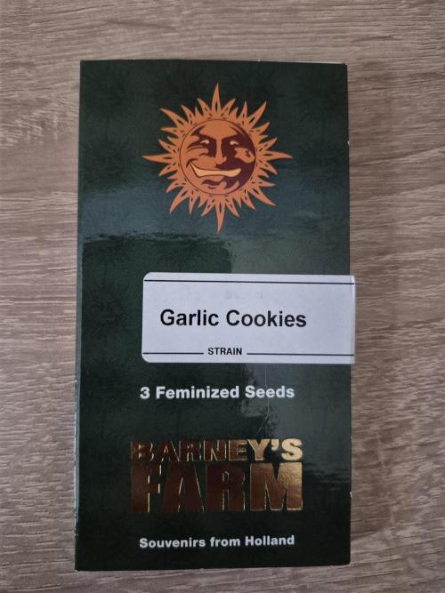 Wizard Trees and Barney's Farm. Week 0