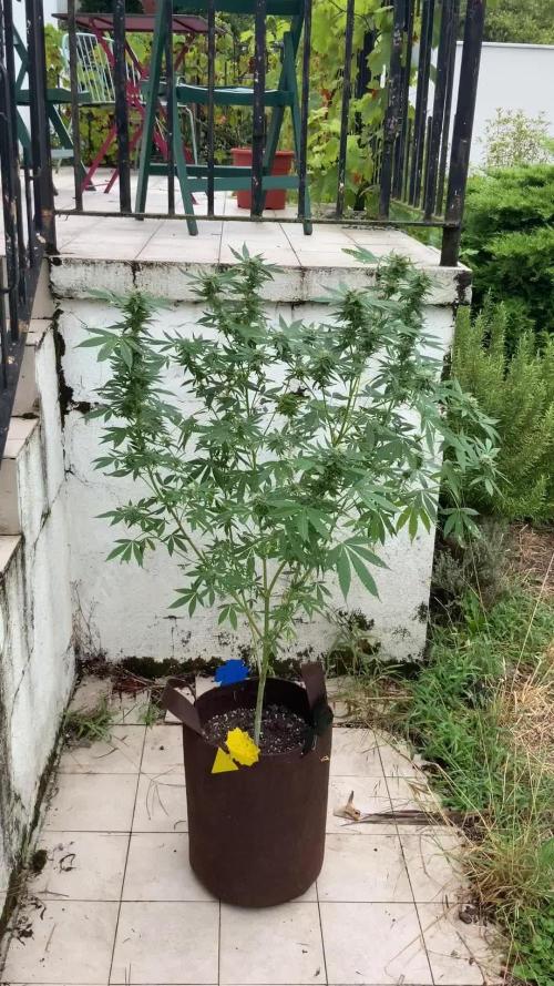 Garden Party 2024