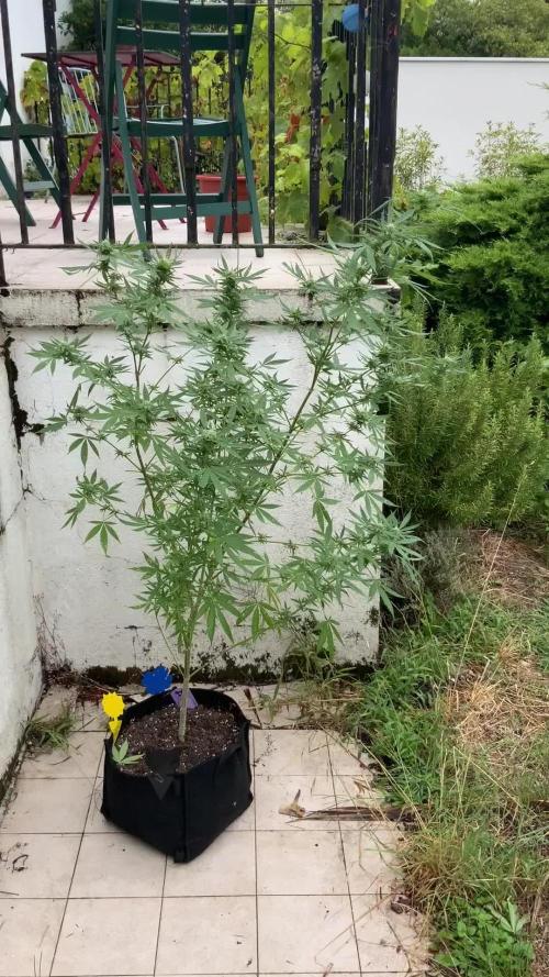 Garden Party 2024