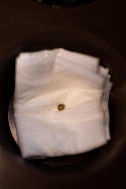 Tester# 1014x1500. Week 0