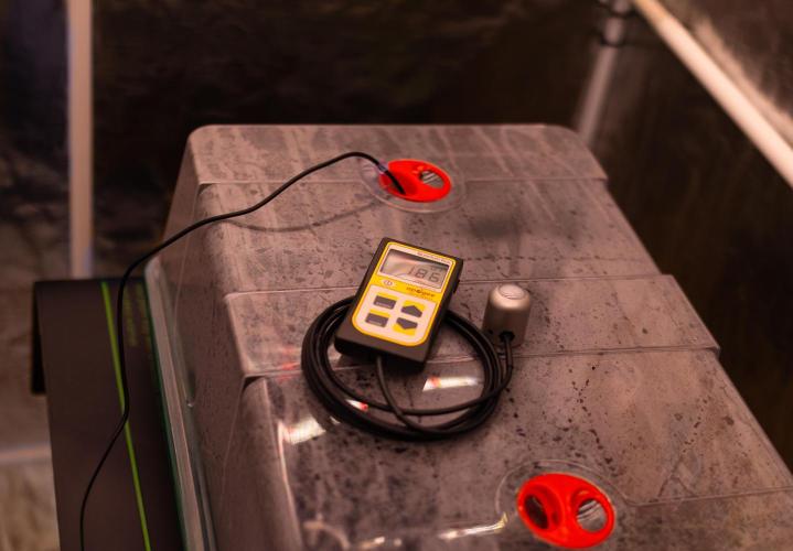 Tester# 1014x1500. Week 0