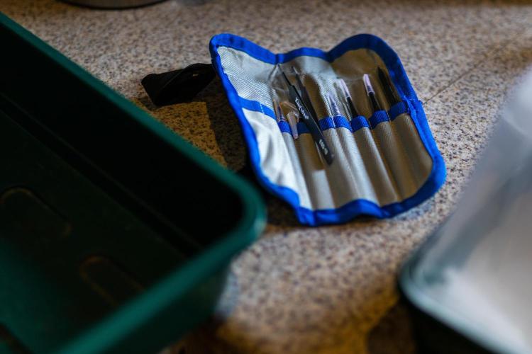 Tester# 605E x 1500. Week 0