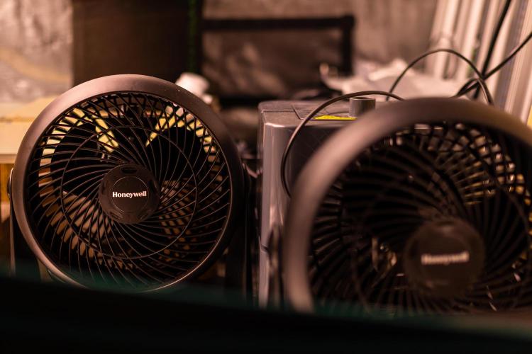 Tester# 605E x 1500. Week 0