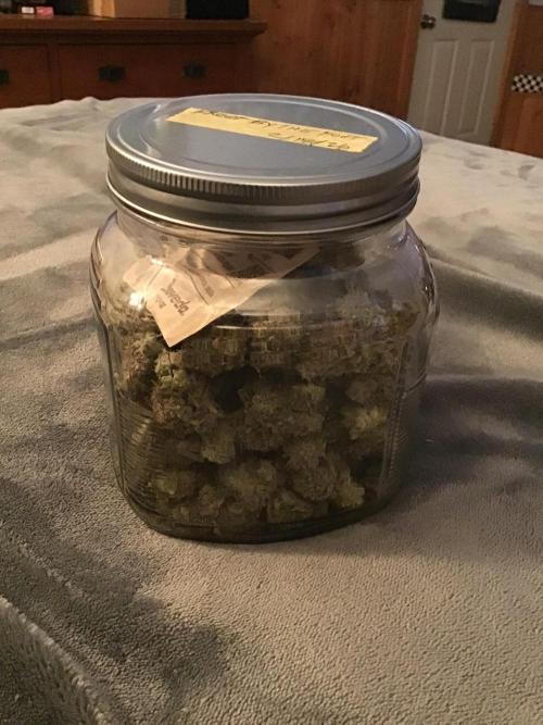 FROOT BY THE FOOT AUTO. Week 14