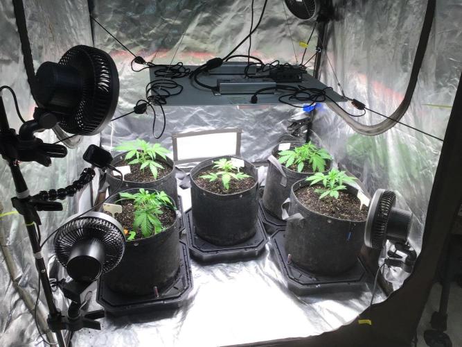 #4 MIX PAC. Week 4