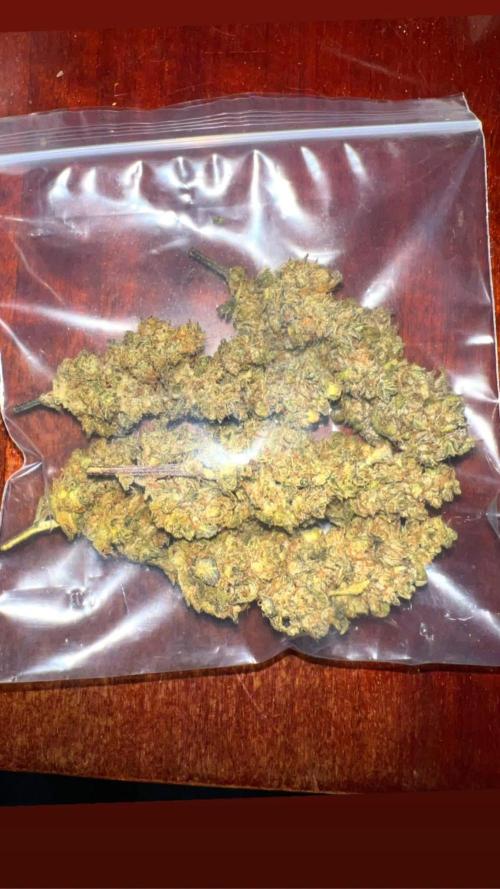 mimosa cake auto. Week 13