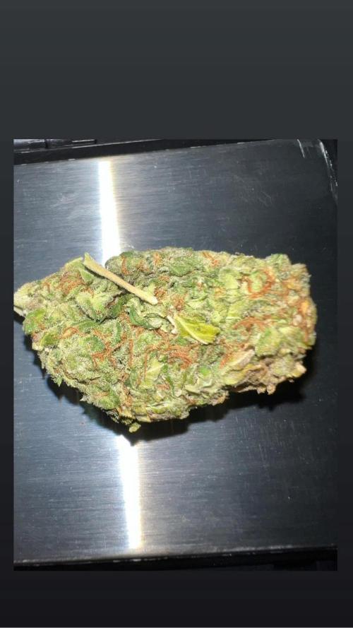 bubble fruit. Week 13