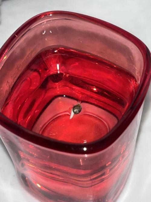 Purple 47 Auto’s 🌱. Week 1 - Purple 47 #3 