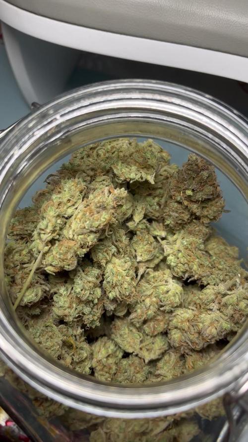 Royal AK A x Tropicana cookies purple A
