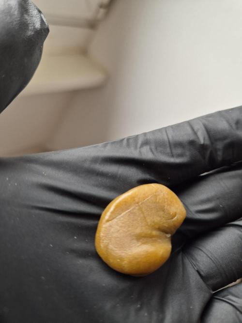 GTools Platinum Mimosa Cookies XL. Week 13 - Quickwas Ethanol Extract