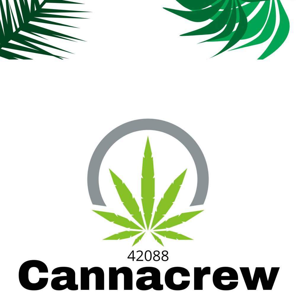 Blueberry Kush grow diary (journal) week5 by Cannacrew42088 GrowDiaries