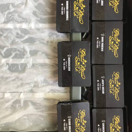 Custom Breeder & Strain Green House King’s Juice grow journal by Doctor