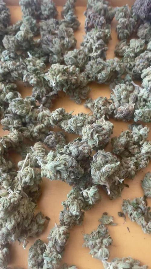 Candy Store RBX feat. Marshmallow OG