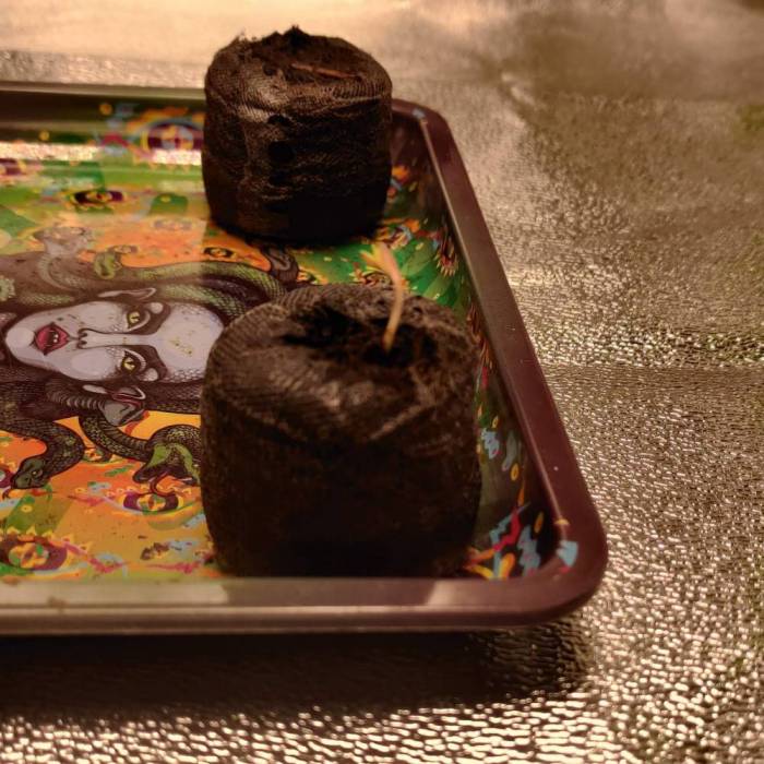 Gamer weed attempt 1. Week 0 - It begins