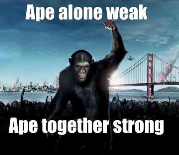 Apes Are Stronger Together (Feat. GG). Week 0 - LOGO OF THE DIARY