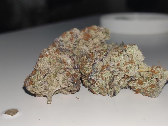 Frozen Biscotti. Week 15