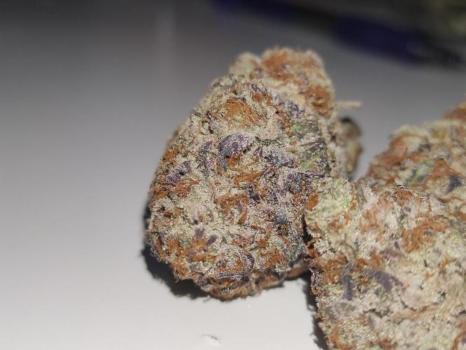 Frozen Biscotti. Week 15